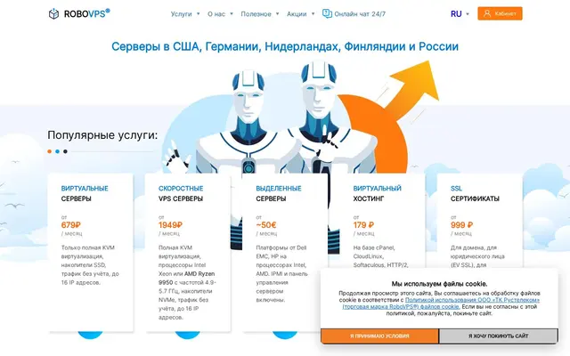 Скриншот сайта robovps.biz