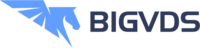 Логотип BigVDS
