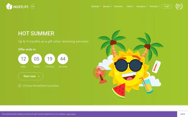 Скриншот сайта hostlife.net
