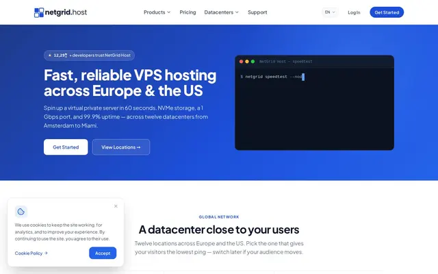 Скриншот сайта netgrid.host